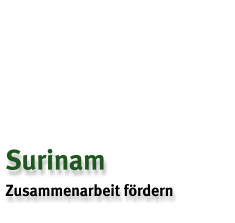 Surinam Zusammenarbeit fördern